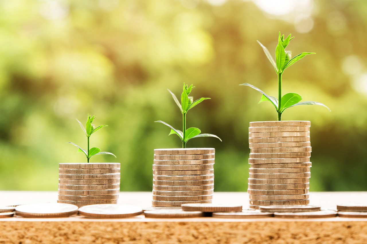 image of two small plants sitting on a stack of coins. Image credit: Image by Nattanan Kanchanaprat from Pixabay